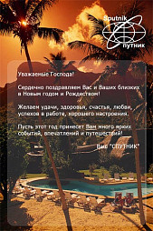 С новым 2005 годом!